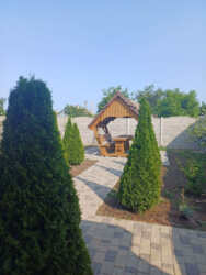 ����� ������������ ��� ���� 55