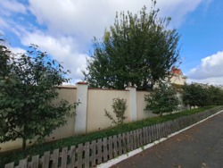 ������ ����������� ��� � ���������� ���� 7