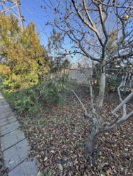 ������ ����������� ��� � �� ����� ��������������� ���� 2