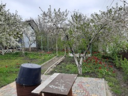 ��� � ����� ���� 6