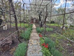 ���� � ��������� ����������� ���� 17