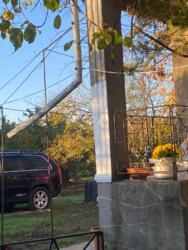 ������ ����������� ��� � �� ����� ���� 38