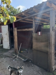 ������ ���� � ��������� ����������� ���� 5