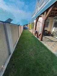 ������ ����������� ��� � ���������� ���� 31