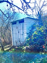 ���� � ����� ���� 7