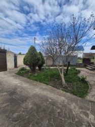 ������ ��� ����� ����� ������������� ���� 41