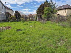 ������� ���� � ����� ���� 14