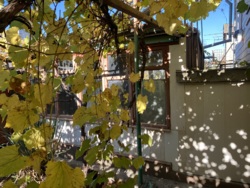 Дом в пригороде Черноморске фото 16 Дом в пригороде Черноморске фото 16