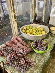 Дом в пригороде Черноморске фото 12 Дом в пригороде Черноморске фото 12