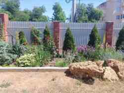 ������ ����������� ��� �� ��� ����� � ��������������� ���� 43