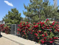 ������ ��� ������� ������ ������ ��� ���� 3