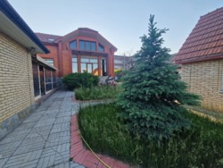        12