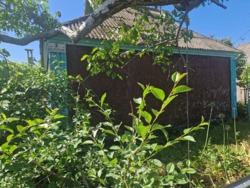 ������ ��� � ��������������� ����� ��� ���� 3