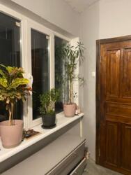 ������ ����������� ��� � �� ����� ���� 18