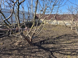 ������ ����������� ��� �� ��� ����� � ��������������� ���� 11