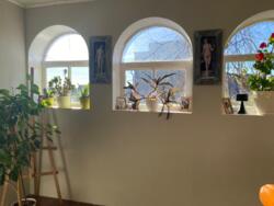 ������ ����������� ��� � �� ����� ���� 35