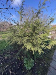 ������ ����������� ��� � �� ����� ��������������� ���� 12