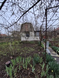 ���� � ��������� ����������� ���� 5