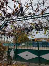 Жилой дом с большим участком земли в пригороде Одессы фото 6 Жилой дом с большим участком земли в пригороде Одессы фото 6