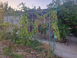 ������ ��� � ��������������� ���� 11