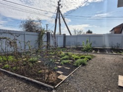 ����������� ��� � �������� ���.��������������� ���� 5