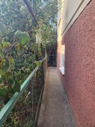  ,   23