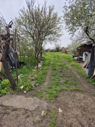 ��� �� ��� ����� ��������������� ���� 5