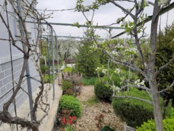 ��� � ����� ���� 4