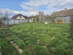 ��� � ������ ���������������� ���� 11