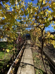 Дом в пригороде Черноморске фото 10 Дом в пригороде Черноморске фото 10