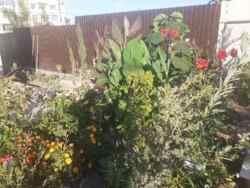 ������ ����������� ��� �� ��� ����� � ��������������� ���� 42