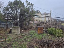 ��������� ������� �������, �������������, ��� ���������, ����� 32 ���� 10