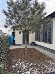 ������ ��� ������� ������ ������ ��� ���� 18