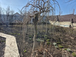 ������ ����������� ��� �� ��� ����� � ��������������� ���� 9