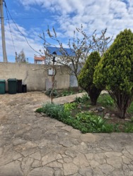 ������ ��� ����� ����� ������������� ���� 44