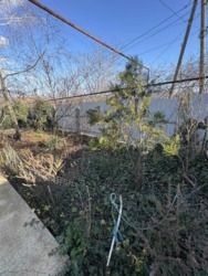 ������ ����������� ��� � �� ����� ��������������� ���� 32