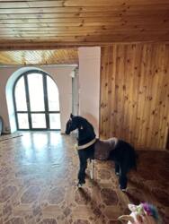 ������ ����������� ��� ����� ������ ���� 6