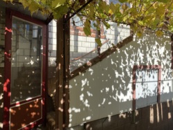 Дом в пригороде Черноморске фото 15 Дом в пригороде Черноморске фото 15