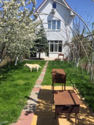 ��� � ����� ������ � 3 ������, ������ � ����! ���� 21