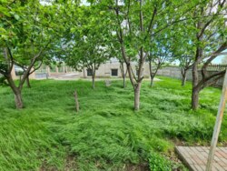 ��� � ����� ������ ���� 9