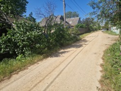 ������ ��� � ��������������� ����� ��� ���� 25