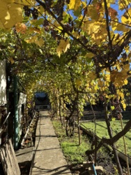 Дом в пригороде Черноморске фото 75 Дом в пригороде Черноморске фото 75