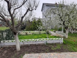 ��� � ����� ���� 7