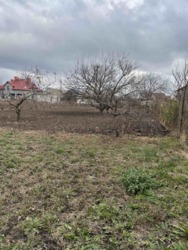 ������� � ������� ���� 12