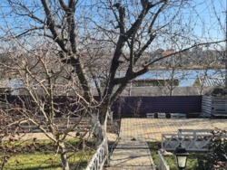 ��� � ����� ���� 50