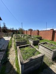   ,  (), ,   6