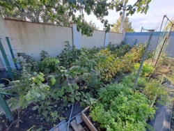 ������ ����������� ��� � ���������� ���� 22