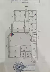    ( )  19