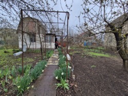 ���� � ��������� ����������� ���� 6