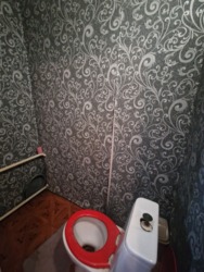      ( )  17